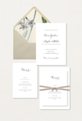 Sofia Collection
