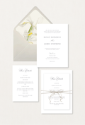 Aria Collection